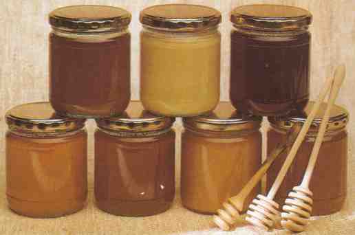 Bild p olika typer av honung