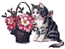 glanbild.gif (8426 bytes)