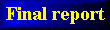 The Final Report