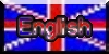 Change language to english