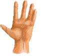 hand2pointing.gif (15876 bytes)