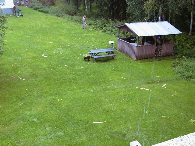 Bild