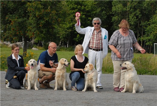 photo: Saara Sampakoski