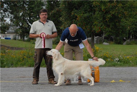 photo: Saara Sampakoski