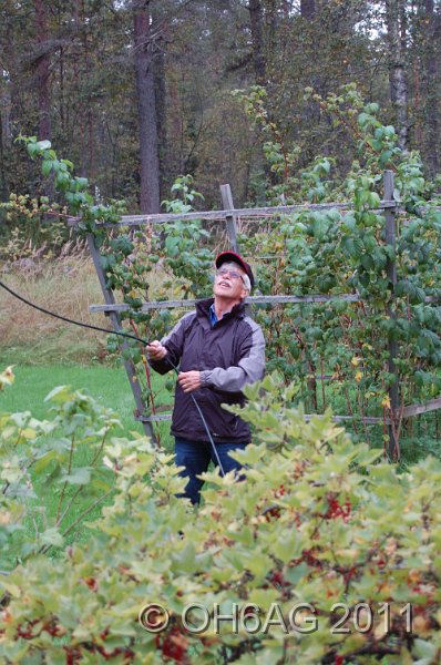 DSC_1684.JPG - Andreas OH6FA var Antennmästare.Andreas OH6FA oli Antennimestari.