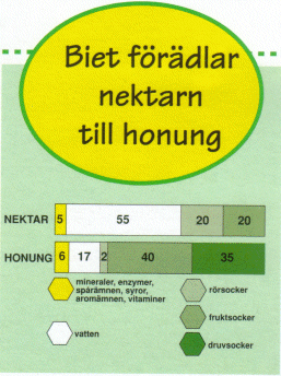 Bild p vad nektar och honung innehller